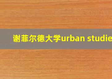 谢菲尔德大学urban studies